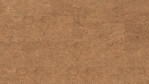 WS-cork-pure-symphony-natural-AJAJ003-Top