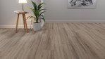 WS-eiche-zirkon-forest-up-debo-AGYM001-1-Relationsbild-01