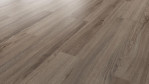 WS-eiche-zirkon-forest-up-debo-AGYM001-Schraeg-Top