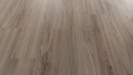 WS-eiche-zirkon-forest-up-debo-AGYM001-Schraeg
