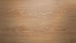 WS-kork-wood-essence-classic-prime-eiche-D8F4001-Close