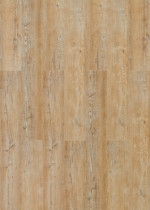 Dielenansicht von Arcadian Soya Kiefer Vinylboden wood Hydrocork Plus - Wicanders