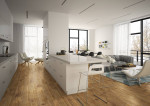 Milieuansicht 1 von Westerwald RIGID R5030A Vinyl - EBENBILD