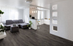 Milieuansicht von Schwarzwald RIGID R5055A Vinyl 