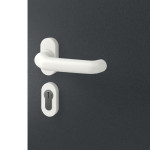 Hörmann Haustür ThermoSafe 553 RAL 7016-RAL 7016 Detail Oberfläche