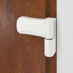 Haustür Kunststoff Premium F026 Golden Oak-Golden Oak Detail Bänder