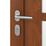 Haustür Kunststoff Premium F026 Golden Oak-Golden Oak Detail Oberfläche