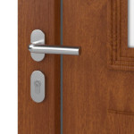 Haustür Kunststoff Premium T043 Golden Oak-Golden Oak Detail Oberfläche