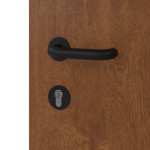 Interio Energiespar-Haustür Stahl-Alu Black Design Motiv B01 Golden Oak-Golden Oak Detail Oberfläche