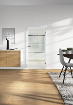 Milieu von FLEXO Klarglas Traverso S 3615 Glastür