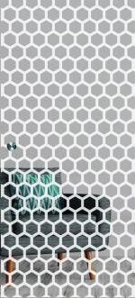 Bild von Honeycomb Mattprint Schiebetür Ganzglas mit Motiv klar - Erkelenz