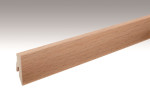 Buche Fußleiste Profil 3 PK (2380 x 20 x 60 mm) - MEISTER