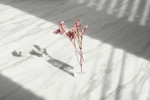 Ansicht von GERFLOR Klebe-Vinyl Marble beige Dalle Vinyle Prime 1.3 Bild 3