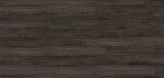 Frontansicht von Schwarzwald RIGID R5055A Vinyl 