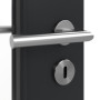 Detailansicht der Oberfläche von Anthrazit RAL 7016 DIN-LA Mattlack ProLine Innentür - Hörmann