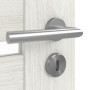 Detailansicht der Oberfläche von Clif 5.2 Norwegische Esche Innentür - Classen