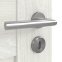 Detailansicht der Oberfläche von Clif 5.3 Norwegische Esche Innentür - Classen