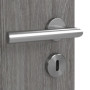 Detailansicht der Oberfläche von Grigio Eiche CPL 4.14 Innentür - Classen