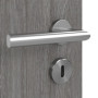 Detailansicht der Oberfläche von Grigio Eiche CPL Innentür 4.4 - Classen