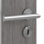 Detailansicht der Oberfläche von Grigio Eiche CPL 4.9 Innentür - Classen