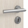 Detailbild der Oberfläche von Gebürstete Salzeiche ProLine Duradecor Innentür - Hörmann