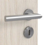 Detailbild der Oberfläche von Gebürstete Salzeiche LA 5 ProLine Duradecor Innentür - Hörmann