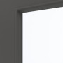 Detailansicht des Lichtausschnitts von GARANT Schiebetür 10622-60 Ebony CePaL mit Lichtausschnitt LA-2