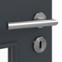 Detailansicht der Oberfläche von LEBO Innentür Ultramatt Anthrazit ähnl. RAL 7016 Versio mit Lichtausschnitt LA 9