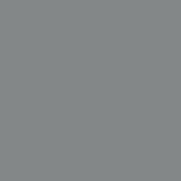 Lackierung in Flint Grey