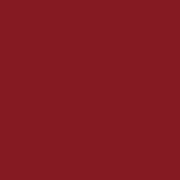 Lackierung in Tiefschwarz RAL 9005