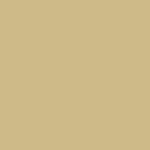 RAL 1000 Grünbeige RAL 1000 Grünbeige