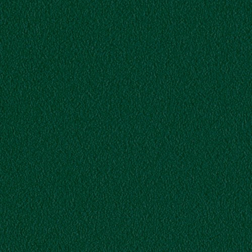 Farbkarte RAL 6005 Moosgrün